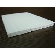 Сотовый поликарбонат Rational 6мм молочный 2100x6000мм