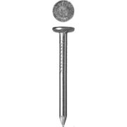 Гвозди с большой потайной головкой, оцинкованные, 40 х 30 мм, 5 кг, ЗУБР