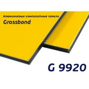 Алюминиевая композитная панель 1220x2440x3мм 0,21мм Жёлтый Албюкобонд