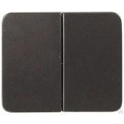 Выключатель СВЕТОЗАР ГАММА двухклавишный, без вставки и рамки, цвет темно-серый металлик, 10A/~250B